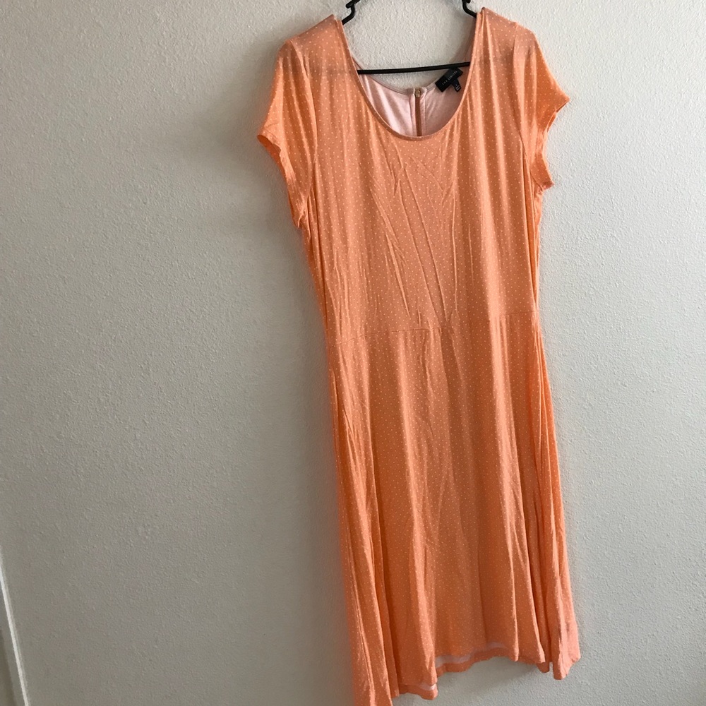 The Limited Women’s Dress (Large)